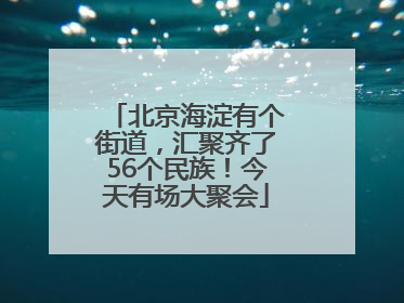 北京海淀有个街道，汇聚齐了56个民族！今天有场大聚会