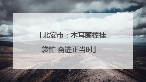 北安市：木耳菌棒挂袋忙 奋进正当时