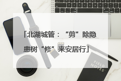 北湖城管：“剪”除隐患树“修”来安居行
