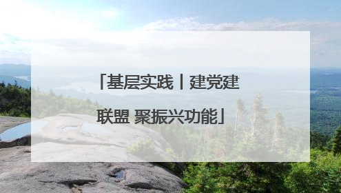 基层实践丨建党建联盟 聚振兴功能