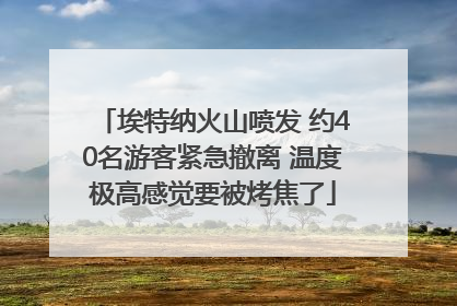 埃特纳火山喷发 约40名游客紧急撤离 温度极高感觉要被烤焦了