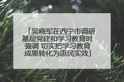吴晓军在西宁市调研基层党建和学习教育时强调 切实把学习教育成果转化为惠民实效