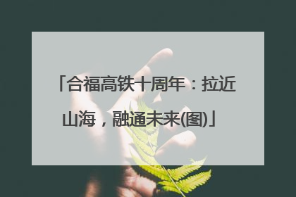 合福高铁十周年：拉近山海，融通未来(图)