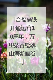 合福高铁开通运营10周年：万里茶香绘就山海新画卷