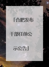 合肥发布干部任前公示公告