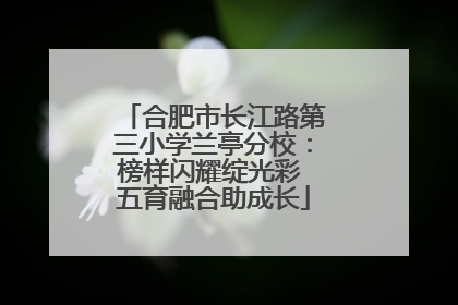 合肥市长江路第三小学兰亭分校：榜样闪耀绽光彩 五育融合助成长