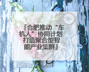合肥推动“车机人”协同计划 打造聚合型智能产业集群