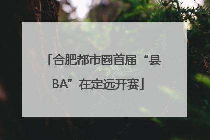 合肥都市圈首届“县BA”在定远开赛