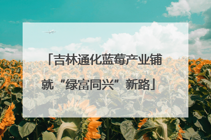 吉林通化蓝莓产业铺就“绿富同兴”新路