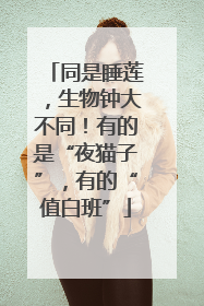 同是睡莲，生物钟大不同！有的是“夜猫子”，有的“值白班”