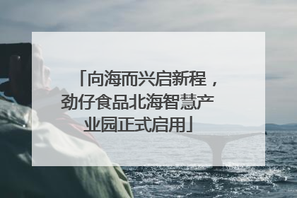 向海而兴启新程，劲仔食品北海智慧产业园正式启用
