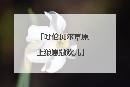 呼伦贝尔草原上狼崽撒欢儿