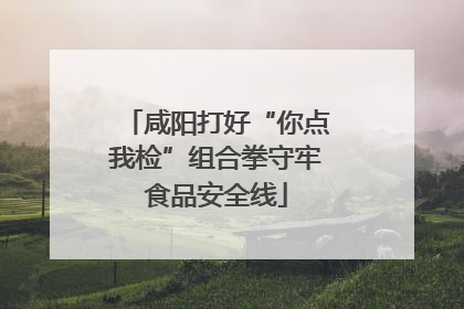 咸阳打好“你点我检”组合拳守牢食品安全线