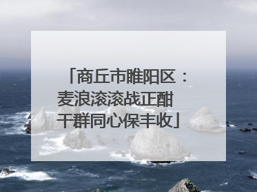 商丘市睢阳区：麦浪滚滚战正酣 干群同心保丰收