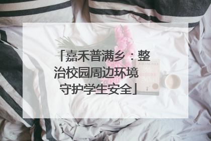 嘉禾普满乡：整治校园周边环境 守护学生安全