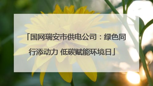 国网瑞安市供电公司：绿色同行添动力 低碳赋能环境日