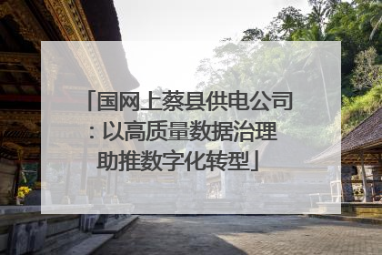 国网上蔡县供电公司：以高质量数据治理 助推数字化转型