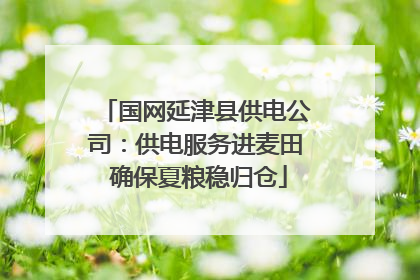 国网延津县供电公司：供电服务进麦田 确保夏粮稳归仓