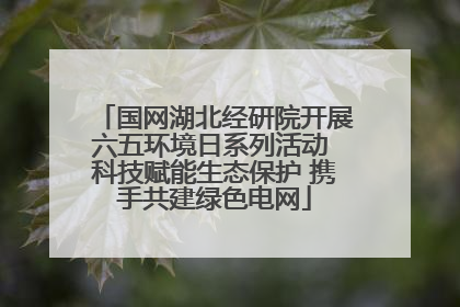 国网湖北经研院开展六五环境日系列活动 科技赋能生态保护 携手共建绿色电网