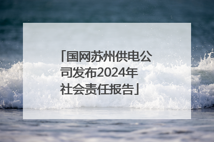 国网苏州供电公司发布2024年社会责任报告