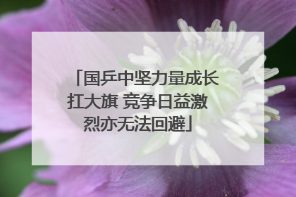 国乒中坚力量成长扛大旗 竞争日益激烈亦无法回避