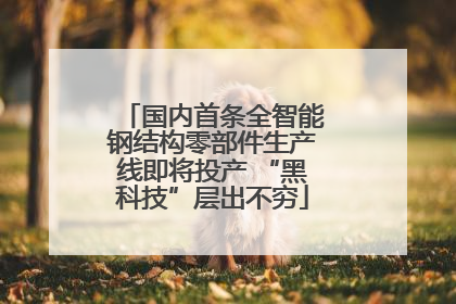 国内首条全智能钢结构零部件生产线即将投产 “黑科技”层出不穷