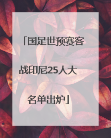 国足世预赛客战印尼25人大名单出炉