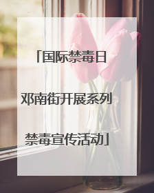 国际禁毒日 邓南街开展系列禁毒宣传活动