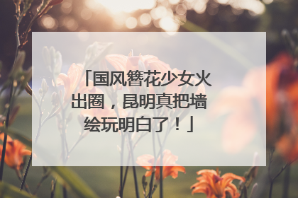国风簪花少女火出圈，昆明真把墙绘玩明白了！