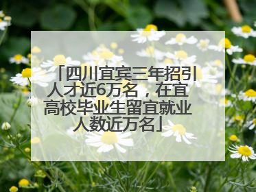 四川宜宾三年招引人才近6万名，在宜高校毕业生留宜就业人数近万名