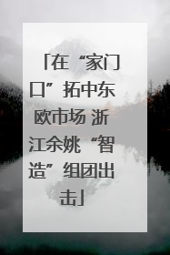 在“家门口”拓中东欧市场 浙江余姚“智造”组团出击