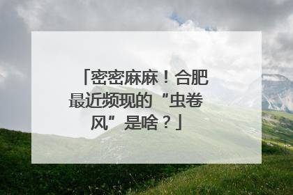 密密麻麻！合肥最近频现的“虫卷风”是啥？