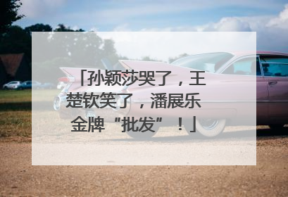 孙颖莎哭了，王楚钦笑了，潘展乐金牌“批发”！