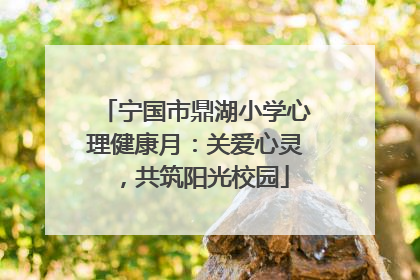 宁国市鼎湖小学心理健康月：关爱心灵，共筑阳光校园