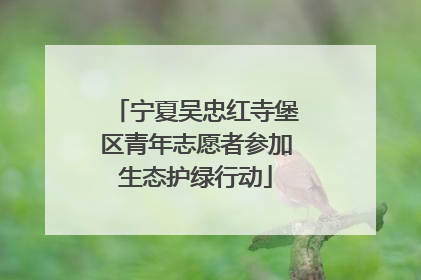 宁夏吴忠红寺堡区青年志愿者参加生态护绿行动