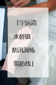 宁远清水桥镇：防汛演练筑防线