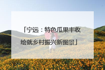 宁远：特色瓜果丰收绘就乡村振兴新图景