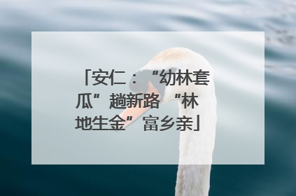 安仁：“幼林套瓜”趟新路 “林地生金”富乡亲