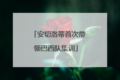 安切洛蒂首次带领巴西队集训
