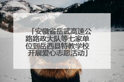 安徽省岳武高速公路路政大队等七家单位到岳西县特教学校开展爱心志愿活动