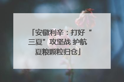 安徽利辛：打好“三夏”攻坚战 护航夏粮颗粒归仓