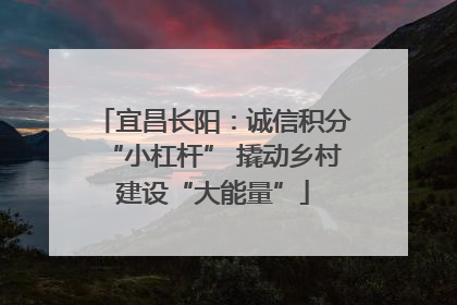 宜昌长阳：诚信积分“小杠杆” 撬动乡村建设“大能量”