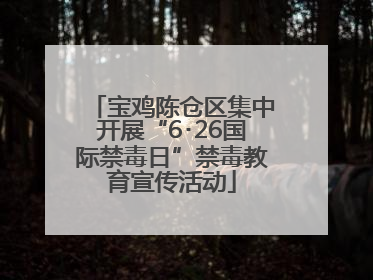 宝鸡陈仓区集中开展“6･26国际禁毒日”禁毒教育宣传活动