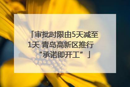 审批时限由5天减至1天 青岛高新区推行“承诺即开工”