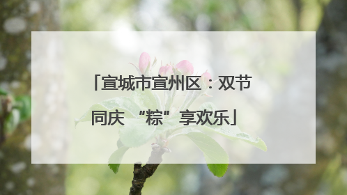 宣城市宣州区：双节同庆 “粽”享欢乐