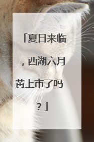夏日来临，西湖六月黄上市了吗？