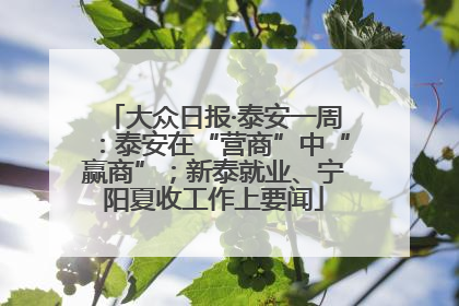 大众日报·泰安一周：泰安在“营商”中“赢商”；新泰就业、宁阳夏收工作上要闻