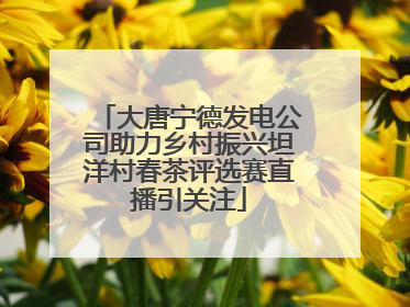大唐宁德发电公司助力乡村振兴坦洋村春茶评选赛直播引关注