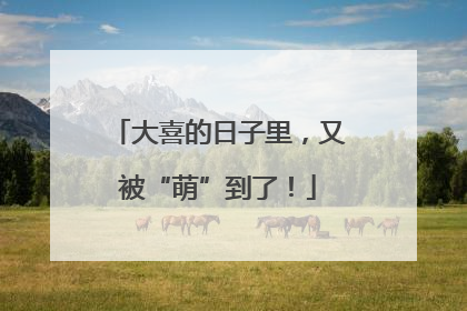 大喜的日子里，又被“萌”到了！
