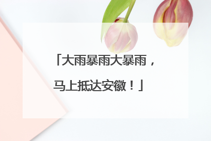 大雨暴雨大暴雨，马上抵达安徽！